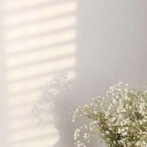 Meet your Posher, Thelittleattic